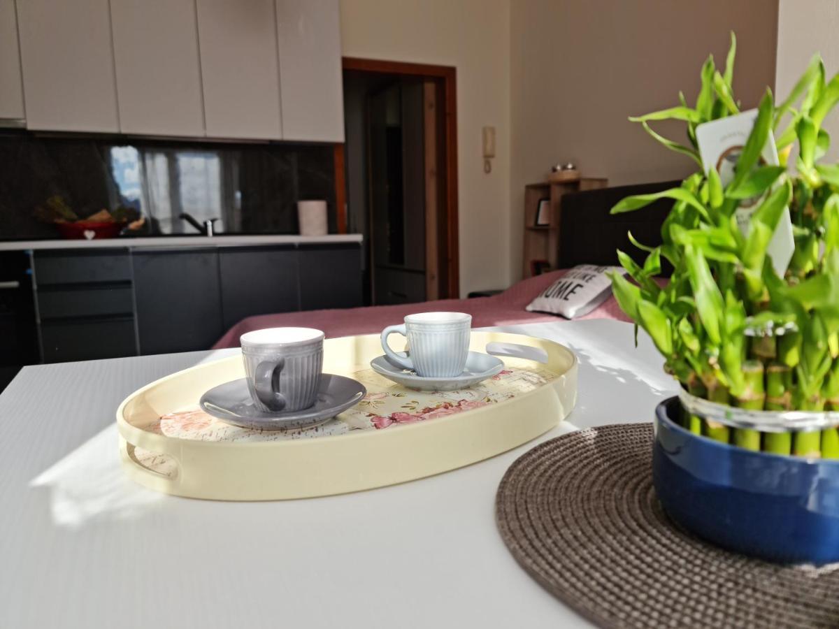 Lovely One Bedroom Studio In Tirana Exterior photo